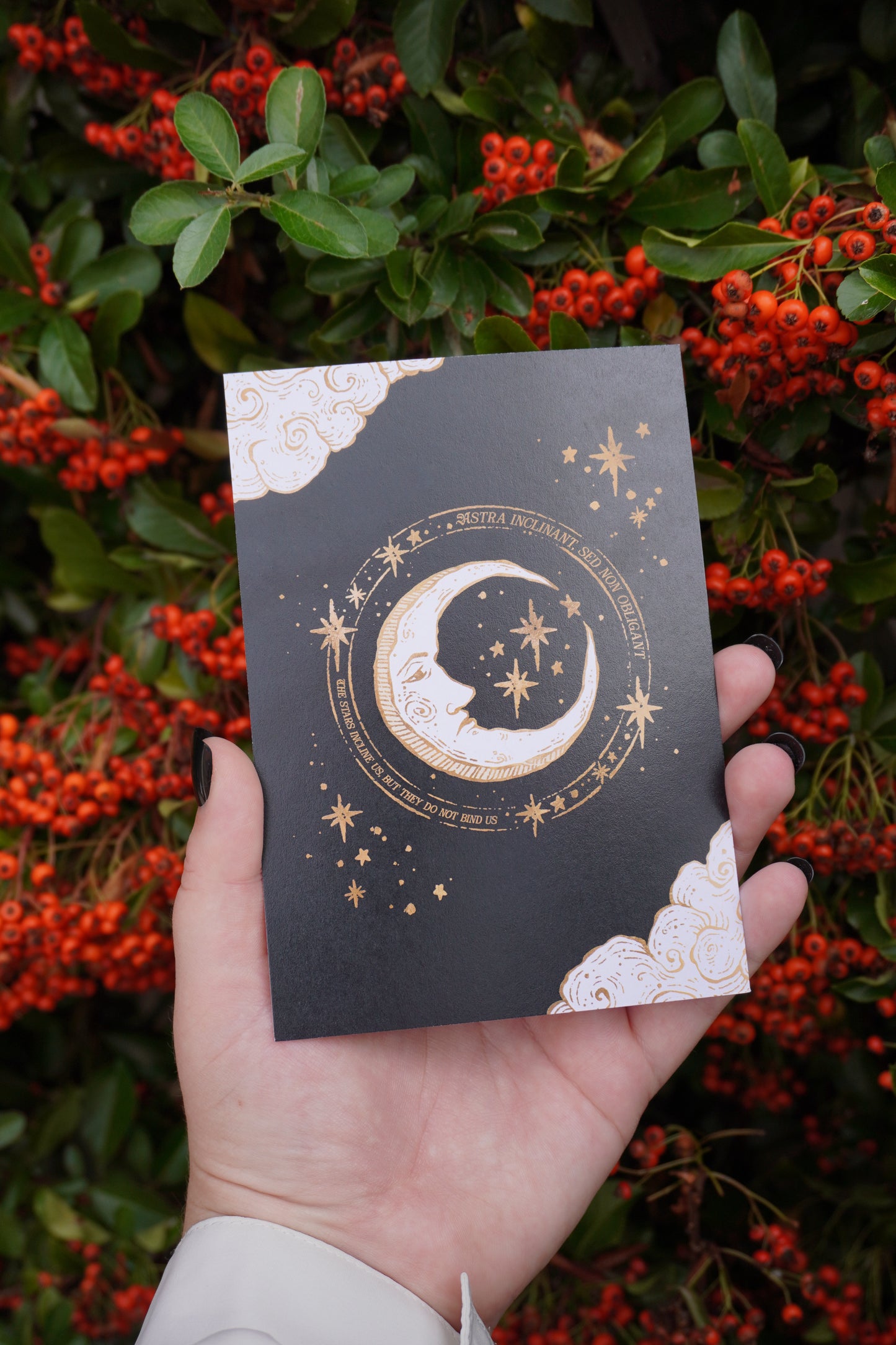 Medieval Moon Celestial Postcard print | A6