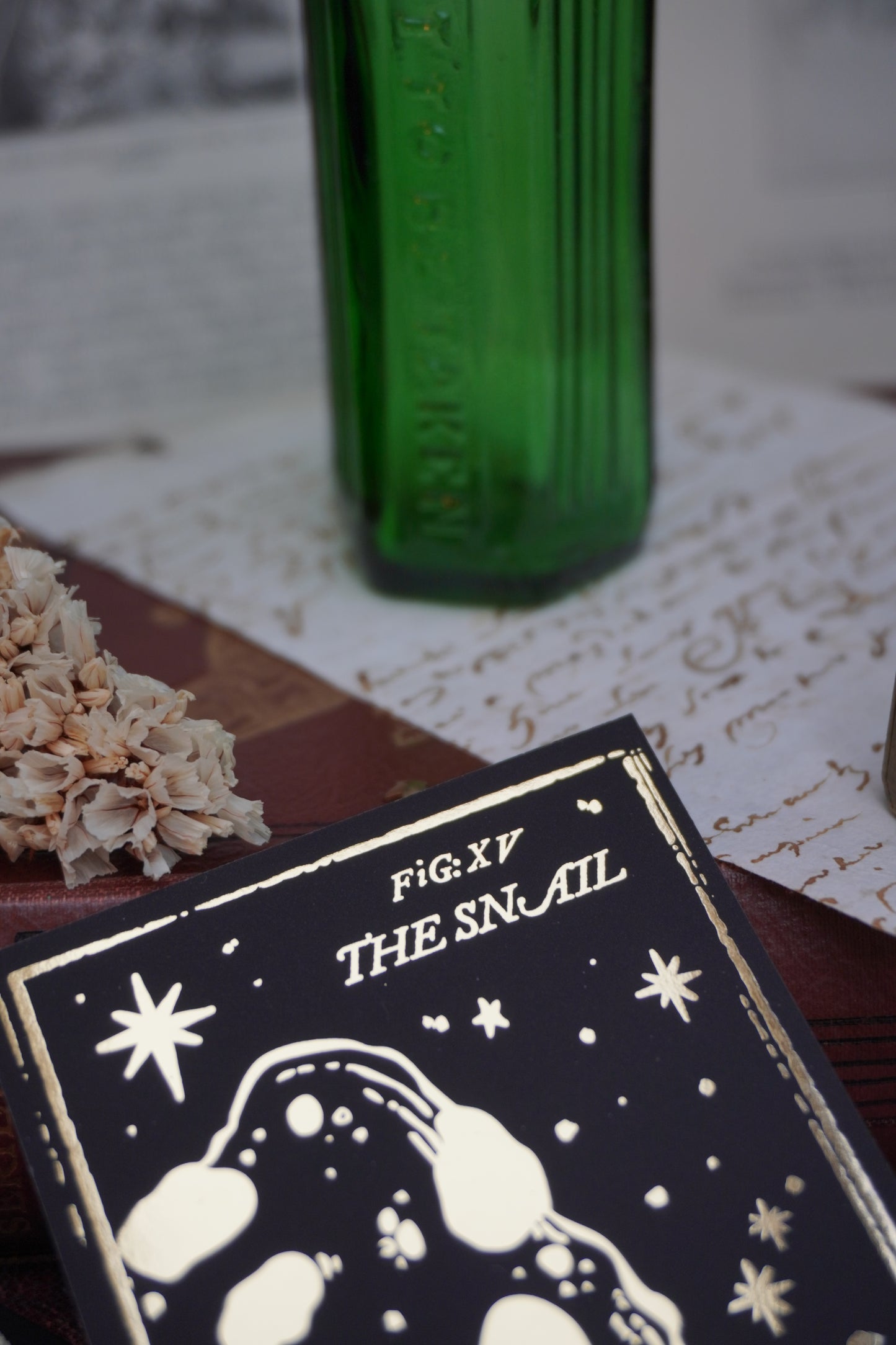 Black Bookmarks with Gold forest design and 'Fig: XV The Snail' text resting on a vintage book with decorative background