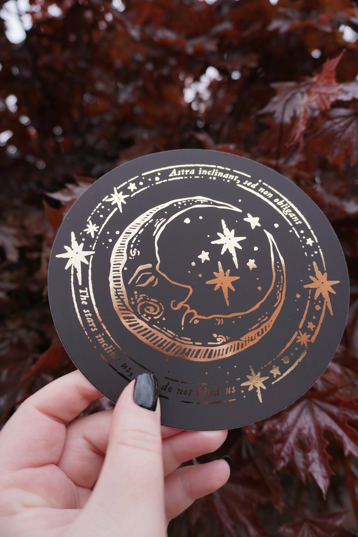 Medieval Moon circular foiled print | 148mm