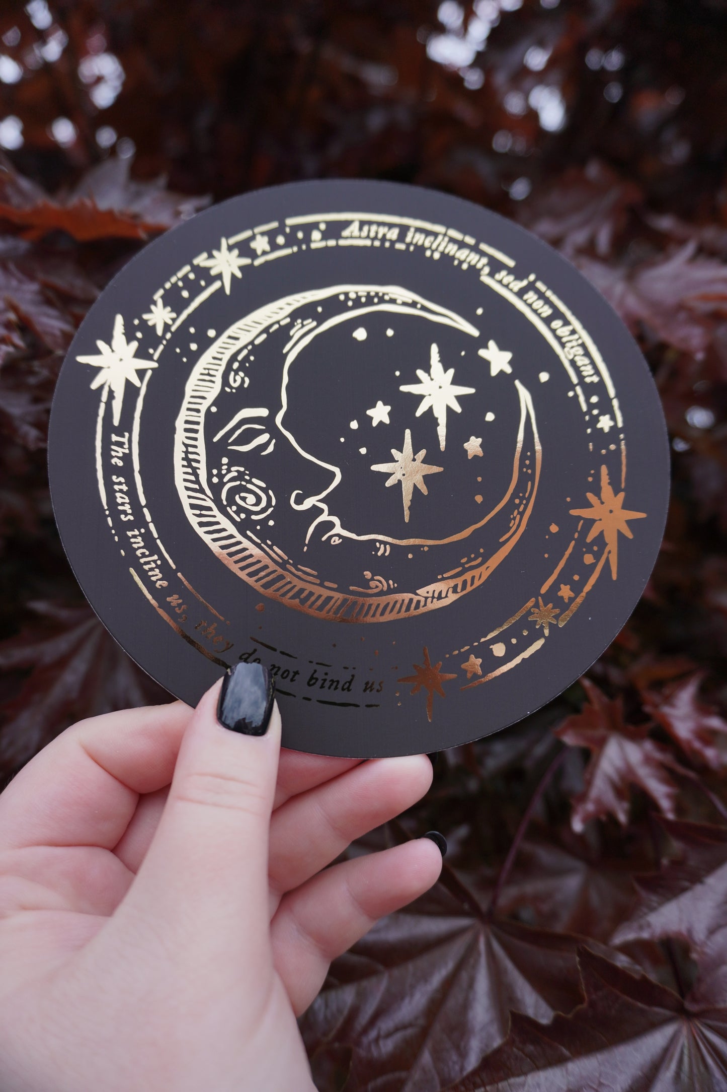 Medieval Moon circular foiled print | 148mm