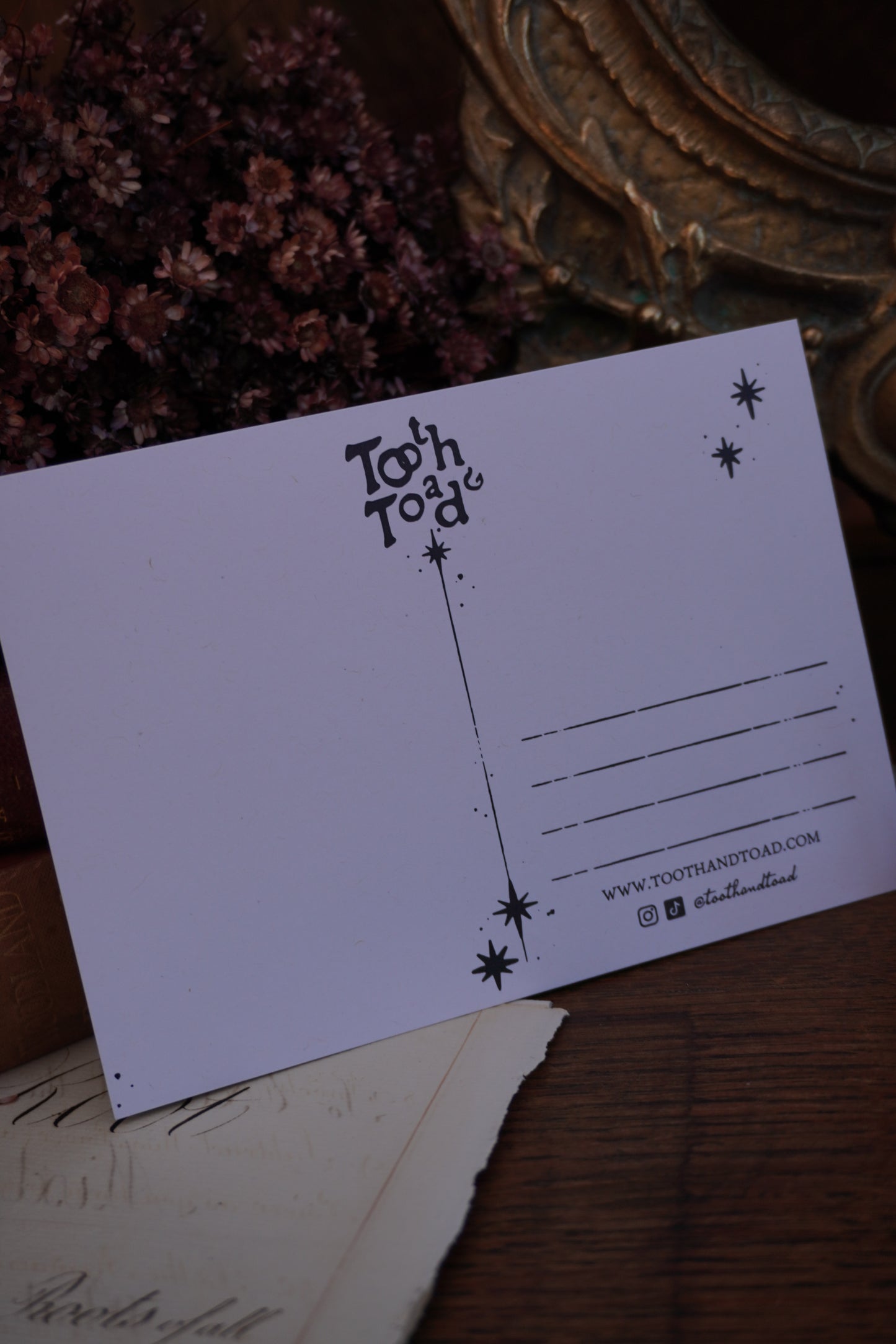 Star Seeker Celestial Postcard print | A6