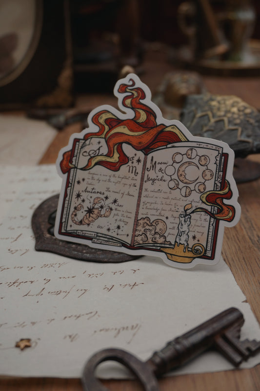 Celestial book sticker | Matte