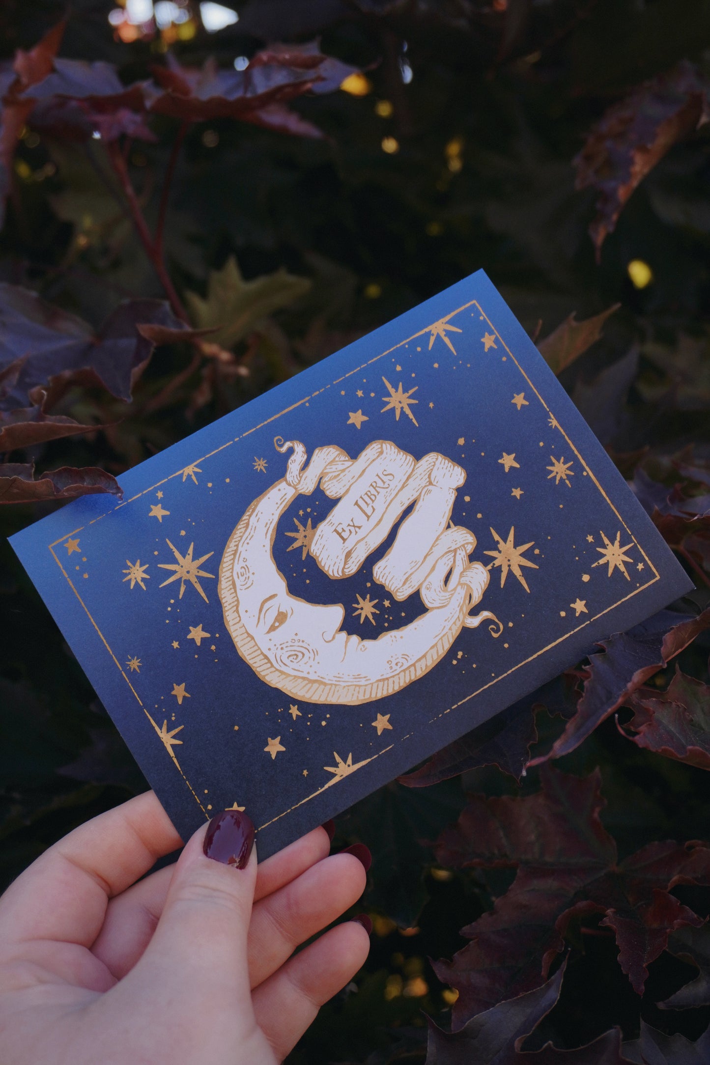 A hand holding a blue toned postcard featuring gold-toned celestial illustration of a crescent moon, stars, and a central banner reading 'Ex Libris'. Set against a background of leaves.