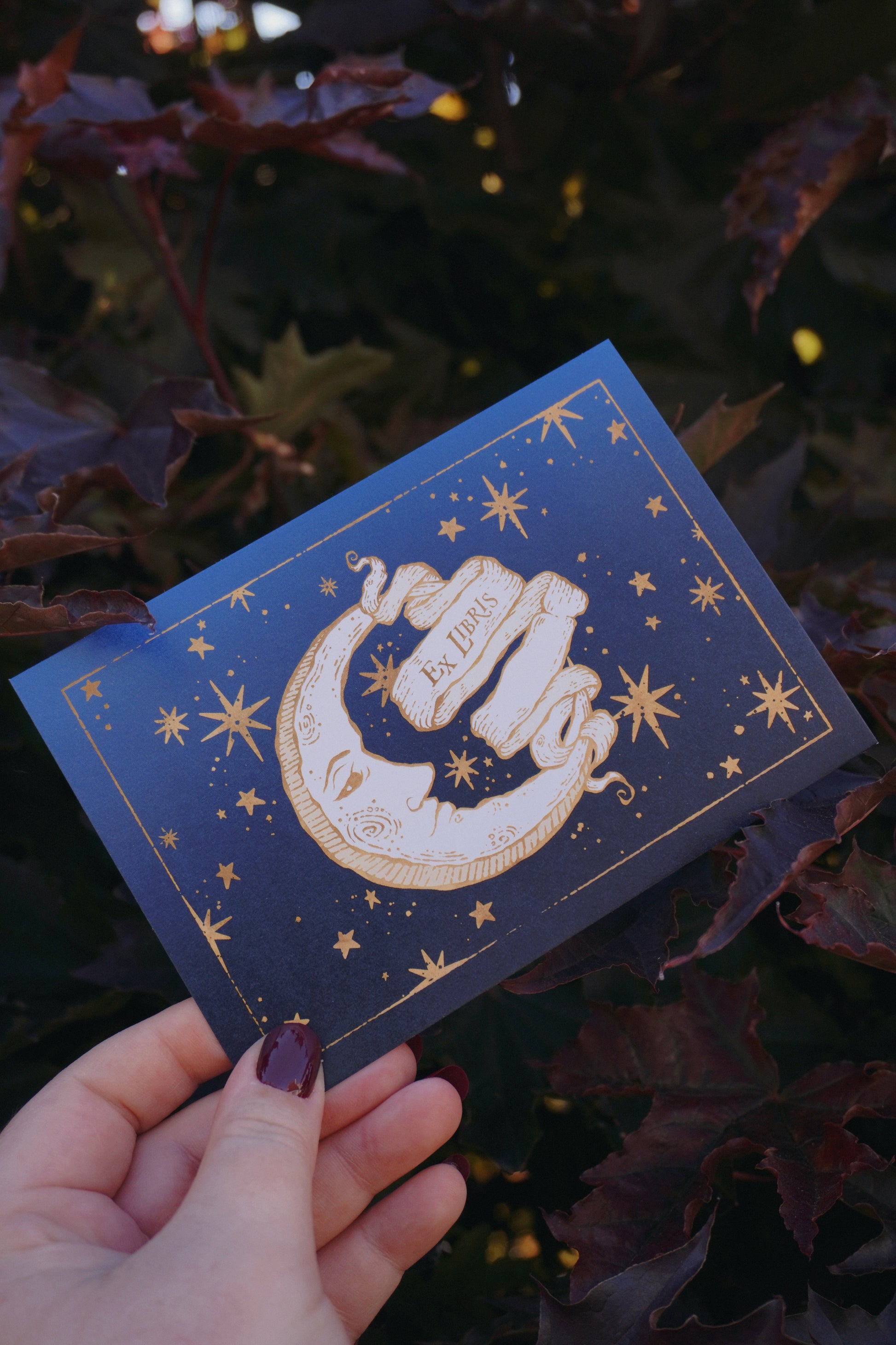 A hand holding a blue toned postcard featuring gold-toned celestial illustration of a crescent moon, stars, and a central banner reading 'Ex Libris'. Set against a background of leaves.