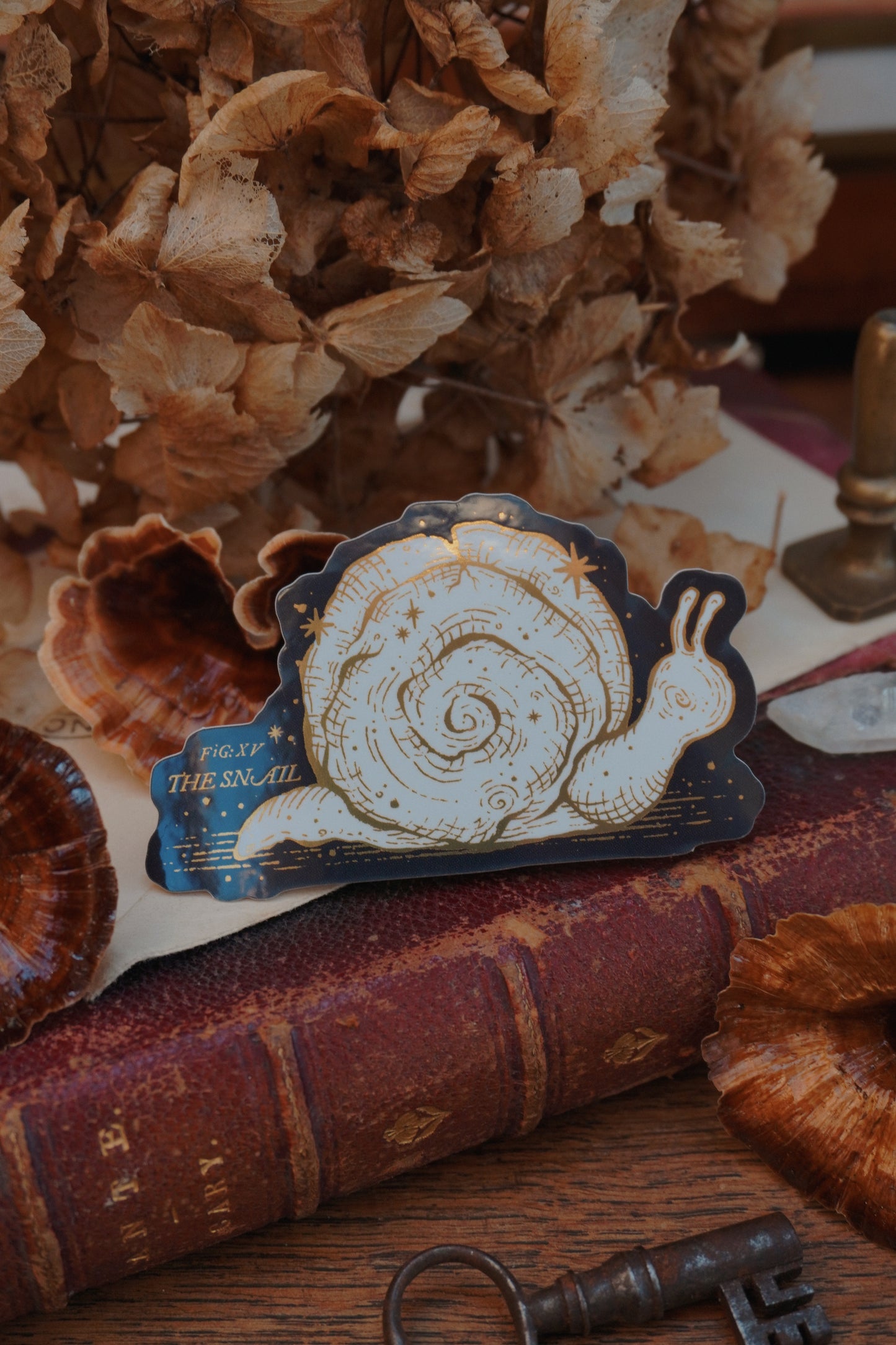 A vintage-style snail illustration sticker with the text 'FIG: XV THE SNAIL' lies on top of an old red leather-bound book, surrounded by dried flowers, dried mushrooms, and a key in a vintage style setting