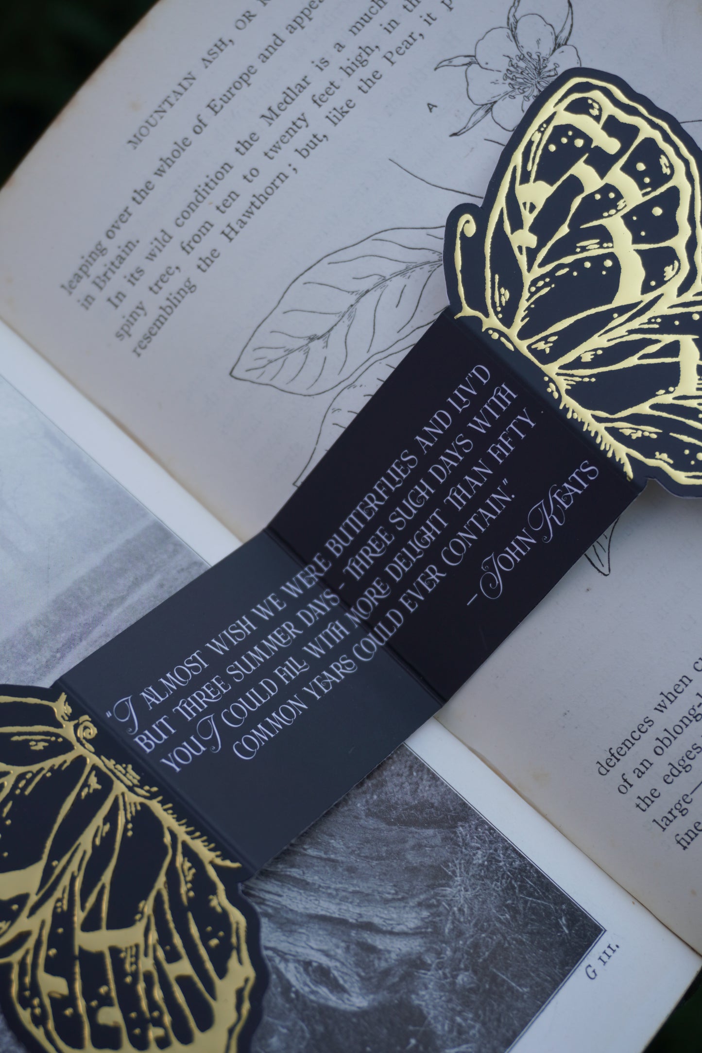 A black paper and gold foil bookmark with gold butterfly illustrations and a white text quote by John Keats ''I almost wish we were butterflies and liv'd but three summer days - three such days with you I could fill with more delight than fifty common years could ever contain' - John Keats, placed across an open book