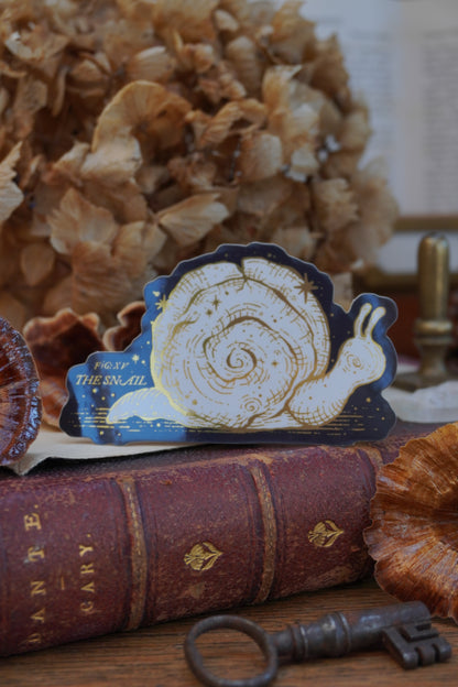A vintage-style snail illustration sticker with the text 'FIG: XV THE SNAIL' lies on top of an old red leather-bound book, surrounded by dried flowers, dried mushrooms, and a key in a vintage style setting