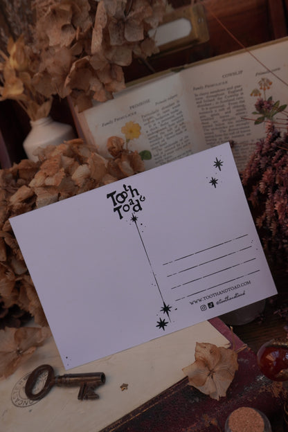 A white postcard back with black printed text and star illustrations, styled on top of a book surrounded by dried flowers and a vintage key.