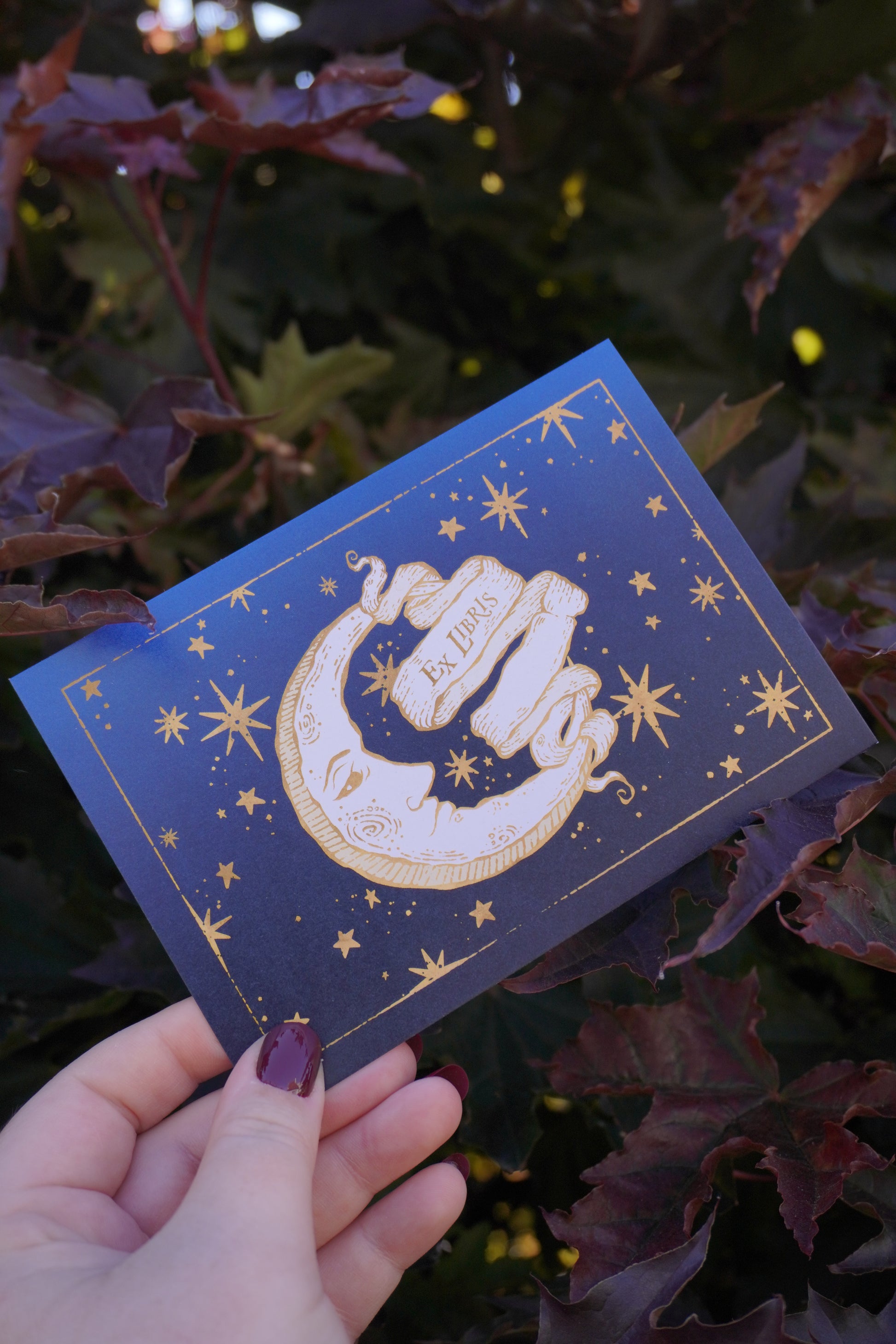 A hand holding a blue toned postcard featuring gold-toned celestial illustration of a crescent moon, stars, and a central banner reading 'Ex Libris'. Set against a background of leaves.