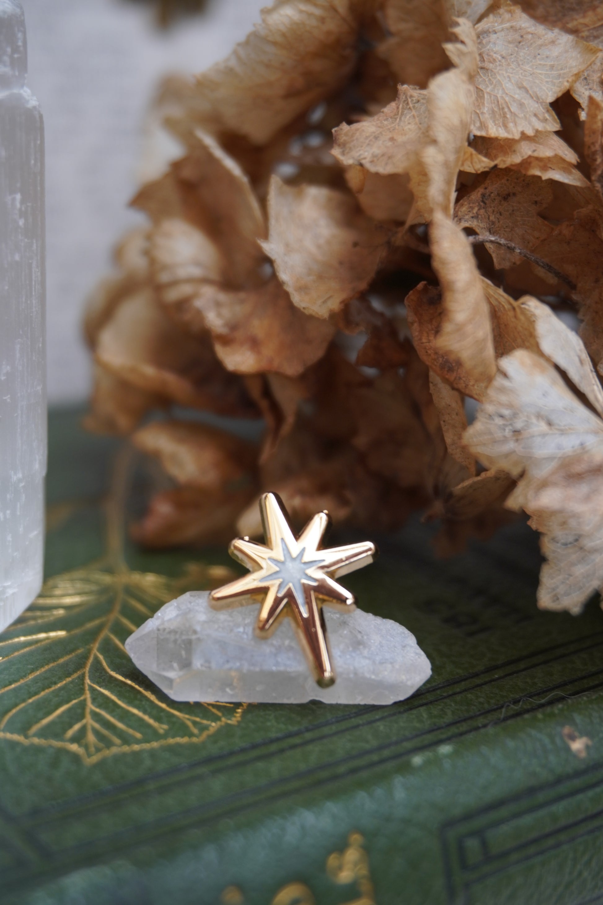A gold star enamel pin with a pearl swirl star shaped centre, resting on a crystal on a stack of vintage green books with dried flowers in the background.