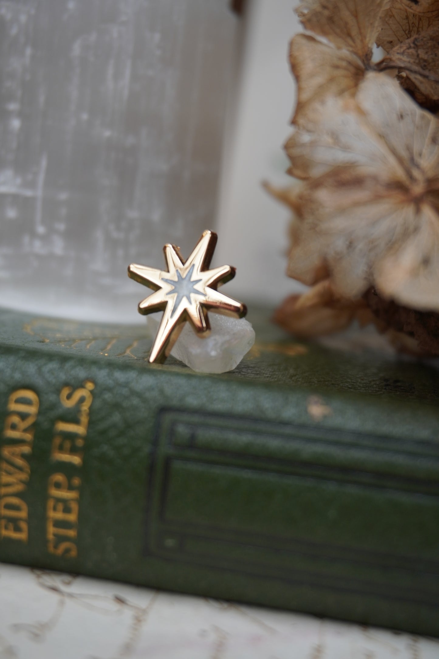 A gold star enamel pin with a pearl swirl star shaped centre, resting on a crystal on a stack of vintage green books with dried flowers and white crystal in the background.
