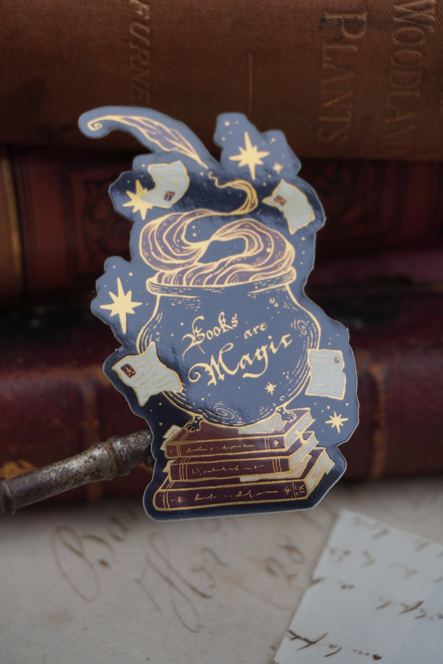 Books are Magic Cauldron sticker | Gold Mirror details