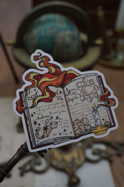Celestial book sticker | Matte
