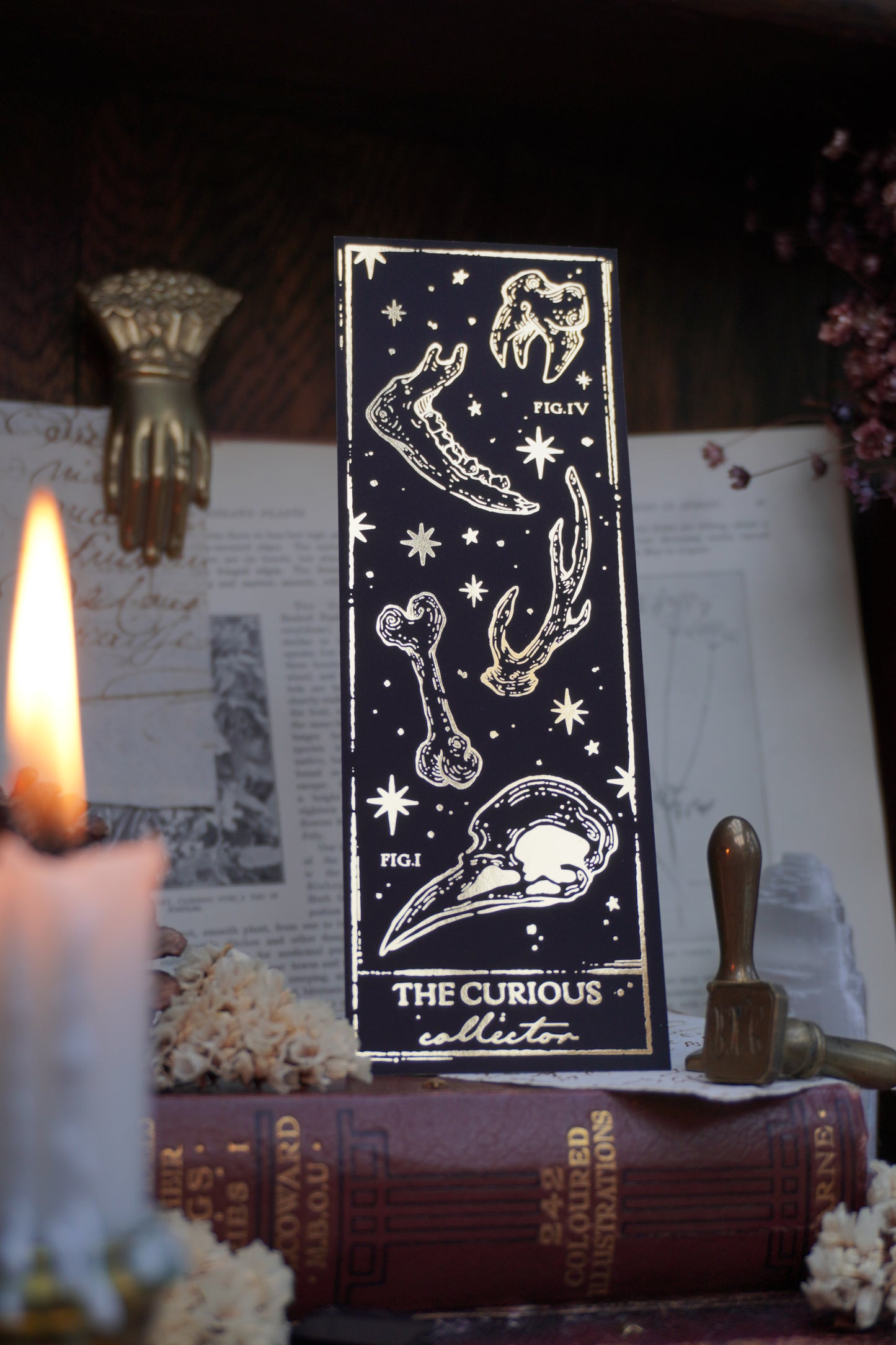 The Curious Collector & Memento Mori bookmark | Double sided gold foil