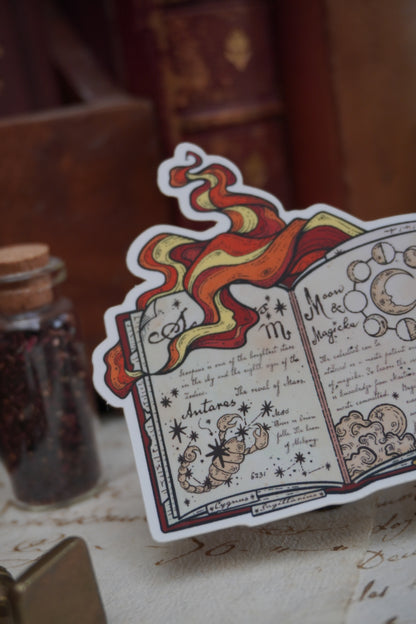 Celestial book sticker | Matte