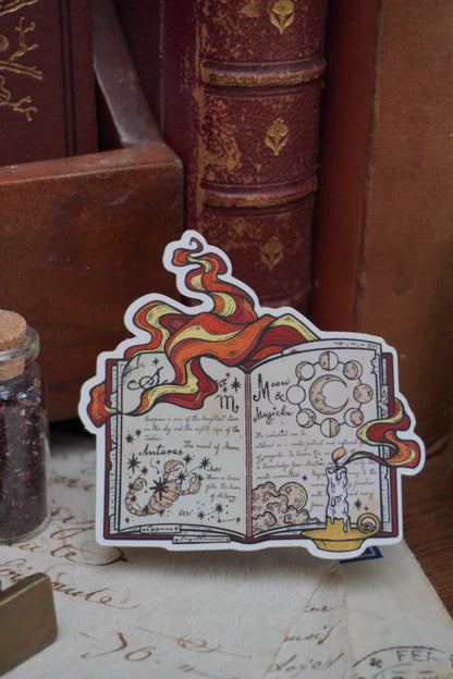 Celestial book sticker | Matte