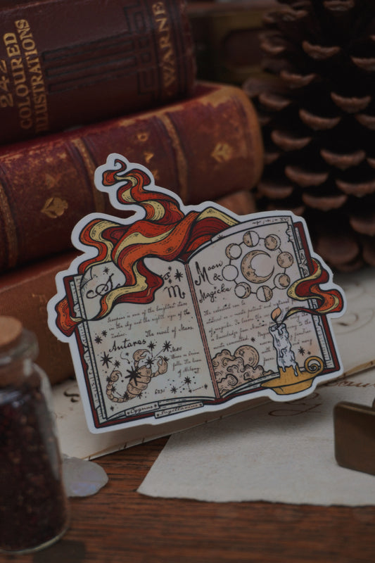Celestial book sticker | Matte